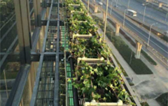 上海虹橋商務(wù)大廈立體綠化