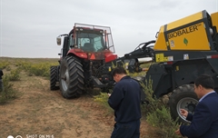 2019年，內(nèi)蒙奈吉牧草有限公司，采購一臺Anderson檸條平茬機